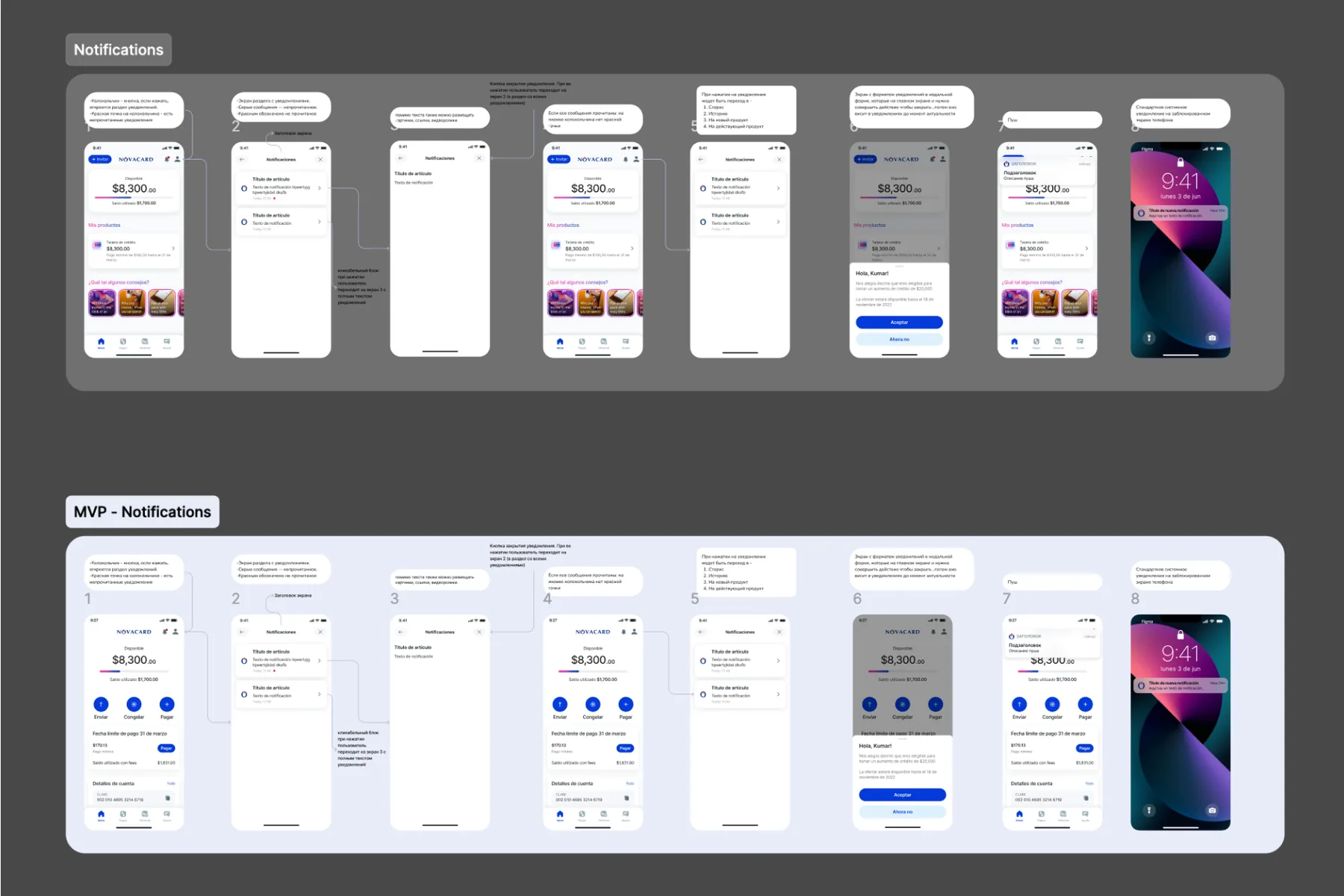 Viva Money support flow
