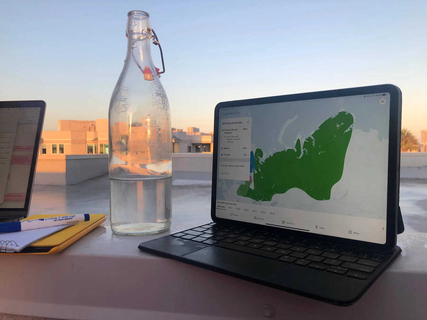 Ancestry DNA in use